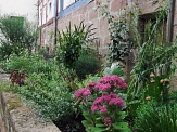 bunte Blumenrabatte vor einem Fachwerkhaus © Universitätsstadt Marburg, Fachdienst Klimaschutz, Stadtgrün und Friedhöfe