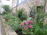 Grünflächenpflege in Patenschaft&nbsp;&copy;&nbsp;Universitätsstadt Marburg, FD Stadtgrün, Silvia Vignoli