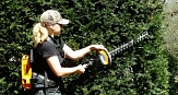 Das Foto zeigt eine Gärtnerin des DBM beim Schneiden einer Hecke mit einer Akku-Heckenschere.&nbsp;&copy;&nbsp;DBM, Sonja Stender