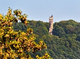 Spiegelslust-Turm im Wald © Georg Kronenberg