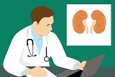 Bild von einem Arzt am Schreibtisch, im Hintergrund ein Bild von zwei Nieren. © Pixabay